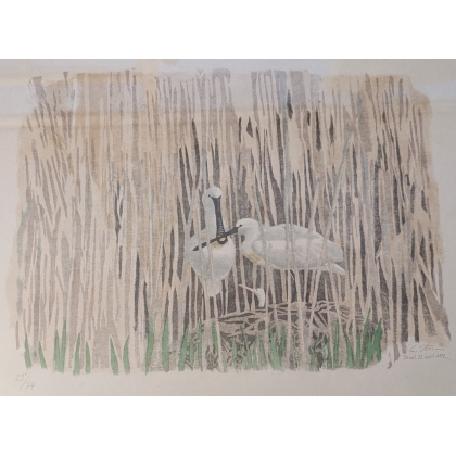 Lithograph entitled ‘Nid de Spatules’, signed C. STERN 93