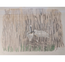 Lithographie "Nid de Spatules" signée C. STERN 93