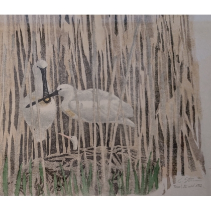 Lithograph entitled ‘Nid de Spatules’, signed C. STERN 93