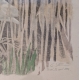 Lithographie "Nid de Spatules" signée C. STERN 93