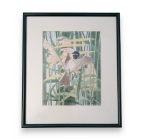 Aquarelle "Moineau" signée C. STERN