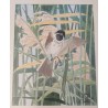 Aquarelle "Moineau" signée C. STERN