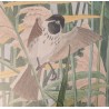 Aquarelle "Moineau" signée C. STERN