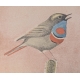 Lithographie "Gorge bleue" signée COSANDEY