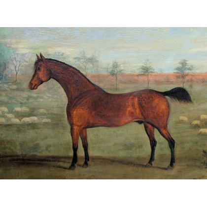 Tableau \"Cheval\" signé G. COLE