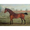 Tableau \"Cheval\" signé G. COLE