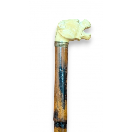 Ivory walking stick with a Bulldog knob