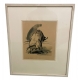 Aquarelle "Taureau" signée E. GRAF 1960