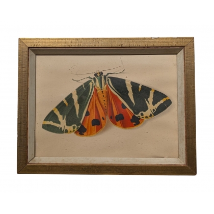 Gravure \"Papillon\" par STOECKLIN