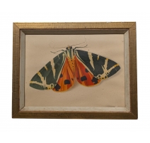 Gravure "Papillon" par STOECKLIN