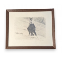 Gravure "Chamois sous la neige" signée RIME