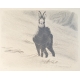 Gravure "Chamois sous la neige" signée RIME