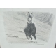 Gravure "Chamois sous la neige" signée RIME