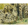 Tableau \"Guépards\" signé B. BAVAUD 83