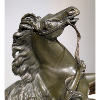 Bronze "Cheval de Marly" signé COUSTOU