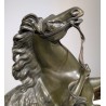 Bronze "Cheval de Marly" signé COUSTOU