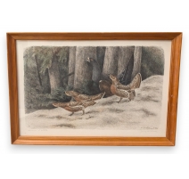 Gravure "Coq de Bruyère" signée RIME
