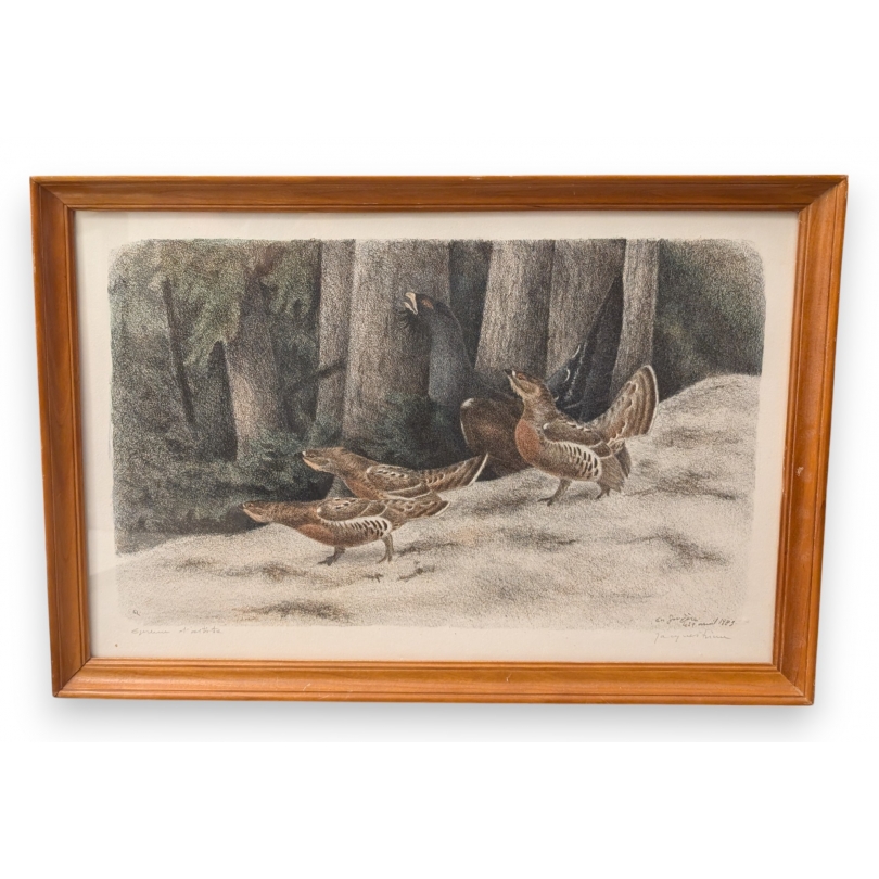 Gravure "Coq de Bruyère" signée RIME