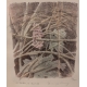 Gravure "Digitale pourpre" signée COSANDEY
