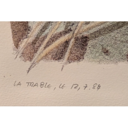Gravure "Digitale pourpre" signée COSANDEY
