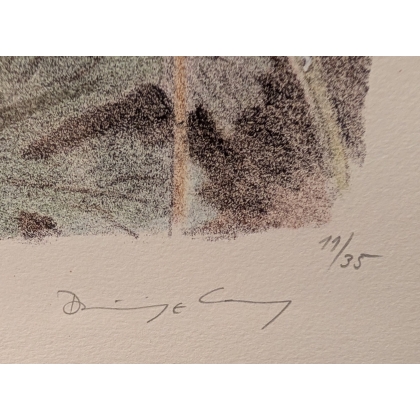 Gravure "Digitale pourpre" signée COSANDEY