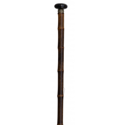 "Sarbacane" walking stick