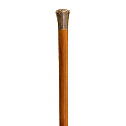 AM silver-coloured metal-tipped walking stick