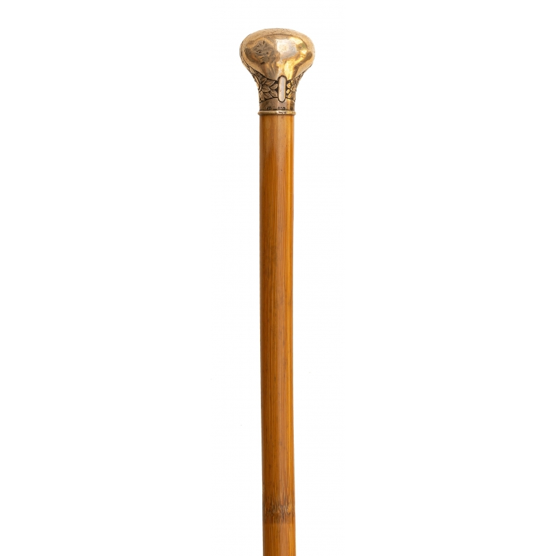 Canne pommeau en argent 800 FP