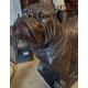 Bulldog anglais en bronze