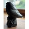 Bronze \"Chouette chevêche\" signée GICÉ 95