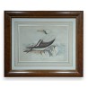 Aquarelle "Fou de Bassan" signée Louis DE COULON