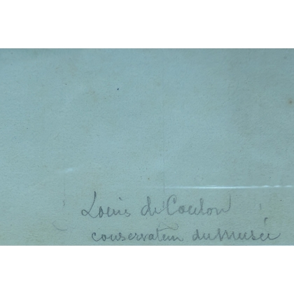 Aquarelle "Fou de Bassan" signée Louis DE COULON