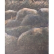 Tableau "Ours au crépuscule" signé GICÉ 25