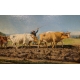 Tableau "Attelage de Boeufs", signé PELLETIER.