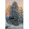 Tableau \"Sapin sous la neige\" signé H. RUDD 69