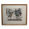 Engraving entitled ‘Rooster, Hen and Young Rooster’, signed HAINARD