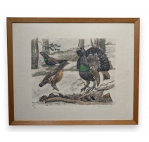 Gravure "Coq, poule et jeune coq" signée HAINARD