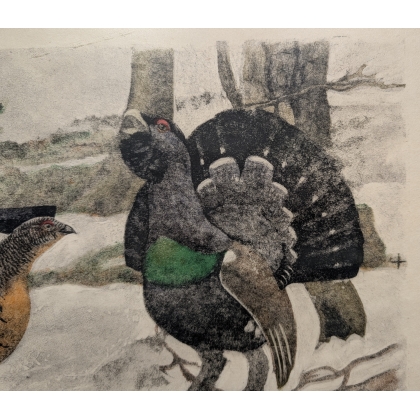 Engraving entitled ‘Rooster, Hen and Young Rooster’, signed HAINARD
