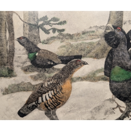 Engraving entitled ‘Rooster, Hen and Young Rooster’, signed HAINARD