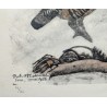 Engraving entitled ‘Rooster, Hen and Young Rooster’, signed HAINARD