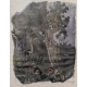 Gravure "Le grand saumon" signée HAINARD