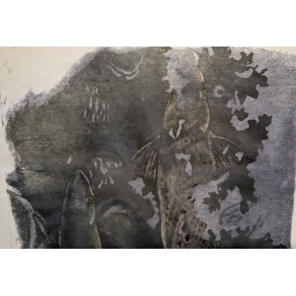 Engraving entitled ‘The Great Salmon’, signed HAINARD