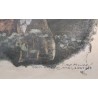 Engraving entitled ‘The Great Salmon’, signed HAINARD