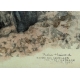 Gravure "Sangliers", signée Robert HAINARD