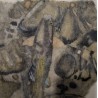 Gravure "Ombre" signée HAINARD