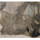 Gravure "Ombre" signée HAINARD