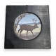 Paire de petits tableaux ronds Cerf et Renard