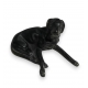 Chien couché en bronze