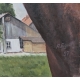 Tableau "Cheval" signé A EGOLF 97