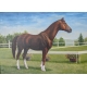 Tableau "BB Nithard" signé A EGOLF 99